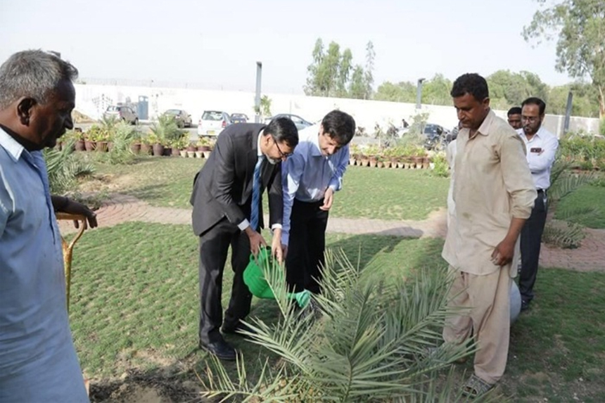 Tree Plantation Drive in collaboration with Bank Al Habib